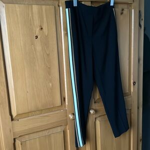 Aritzia Babaton black pants